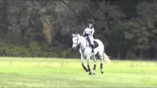 Fuerst Shiloh's Video By www.HorseOfMyDreams.com