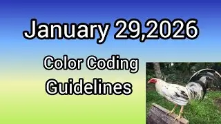 January 29,2026 Color Coding Guidelines 