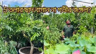 5 তলা ছাদের ওপরেই তৈরী গভীর জঙ্গল | Roof top garden | terrace garden | ছাদ বাগান | Talk of trees