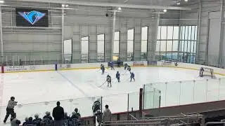 Squirt Icehawks gold 1 vs 2 12/20/25 period 2