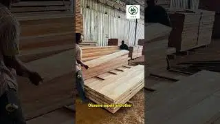 Top 5 African Countries by Standing Timber Volume