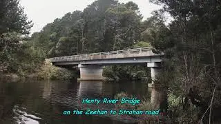 Henty River Camping Australia Day 2019   Bridge Trip