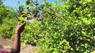 ಒಳಗ ನಿಂದು ಮನಸೈತಿ ಬರಗ ನಾಟಕ ನಡದೈತಿ