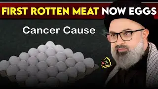 EGGS AND ROTTEN MEAT | Aga Syed Mohammad Hadi Kashmiri