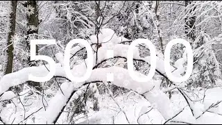 50 Minute Winter Timer with Beautiful, Calm and Relaxing Music