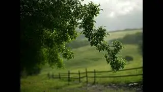 Wealth in Tranquility: The Calm Subliminal Audio That Instantly Boosts Your Riches (New Formula!)
