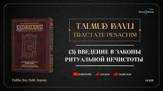 Талмуд Бавли | (3) Введение в Законы Ритуальной Нечистоты | Рабби Лев Лэйб Лернер |