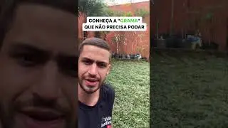 Conhe&ccedil;a a grama que n&atilde;o precisa de poda
