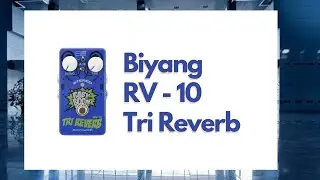 Pedaliction Series | Biyang Tri Reverb | After One Year Pedal Review | My Pedal Journey