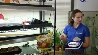 Grow it Green: When to start planting