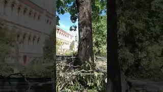 👆 MILAN WORST STORM in History #milan #storm