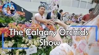 The Calgary Orchids Show #YYC #calgary