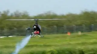 Align Trex 600 pro with os 50 hyper logictech 6100t gyro