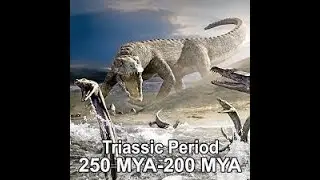 Geologists or Anthropologists Please Explain this Triassic Timeline
