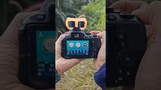 Размытый фон и четкое фото 🔥📸 Фотоаппарат DSLR #шорты
