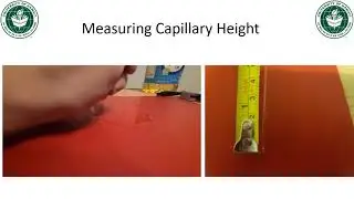 Capillary Height and Application of Jurin's Law