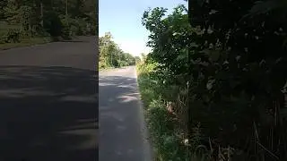 😨😨😨 pobre las calles de Guatemala 😱