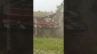 Federzinken Grubber in Aktion