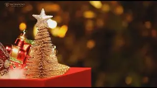 BigDiamond Enterprises Wishes You A Merry Christmas In 2023 and a Happy New Year in 2024! 🎅🏾🎄❄️✝️🎁😊💎