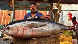 KASIMEDU SPEED SELVAM TUNA FISH 🐟 CUTTING VIDEO \ CUTTING FOCUS