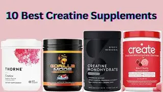 Best Creatine Supplements for Muscle Growth & Strength