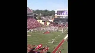 Go hogs!!