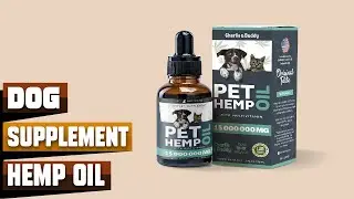 Best Hemp Oil for Dogs Supplements in 2024 (Top 10 Picks)