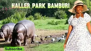 HALLER PARK MBAMBURI KENYE🔥🔥subscribe 