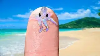 CUTEST And TINIEST Sea Creatures!