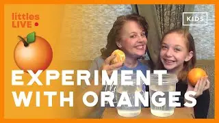 🍊God's Protection - Experiment (Object Lesson) with Oranges I littles LIVE