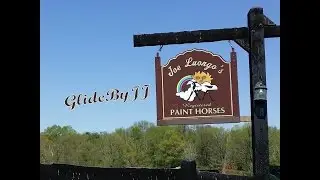 Joe Luongo's Paint Horses Sussex, NJ 07461 GlideByJJ
