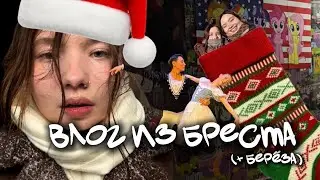 Новогодний влог из Бреста(от даши ферив)