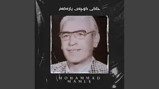 Sawza Hay Limo 3