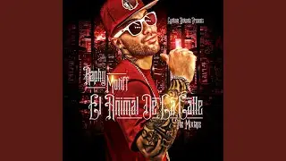 Solo Amigos (Rmym) (Bonus Track) (feat. Kev)