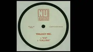 Trilogy Inc. | 313