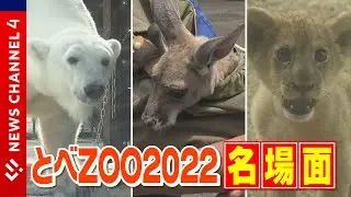 ライオンやカンガルー…人工哺育で育った動物だち！２０２２年も魅力満載な動物たちが続々登場しました！＜NEWS CH.4＞
