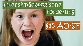 ✊&sect;15 AO-SF: Intensivp&auml;dagogisches Konzept &ndash; Was Lehrkr&auml;fte wissen m&uuml;ssen