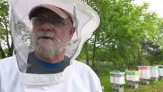 Quick update from the bee yard