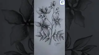 How to Shade Flowers for Beginners | Pencil Sketching 