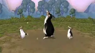 Pengwenn Dances
