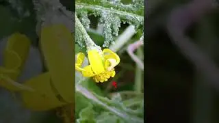 doğadan 💚🍀🌼☝️❤️🇹🇷😍😲 &ccedil;ektiğim fotoğraflar hobim