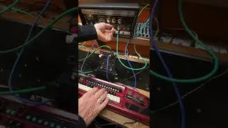 Suzuki Koto Synth, Vongon Paragraphs, Roland RE-201 Space Echo early pres zero head gain