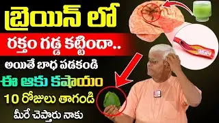 Khader Vali - బ్రెయిన్ లో రక్తం గడ్డ కట్టిందా | ఈ ఆకు కషాయం10 రోజులు తాగండి | Brain | SumanTv