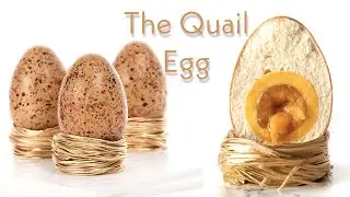 The Quail Egg!
