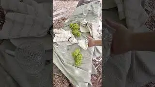 Picnic