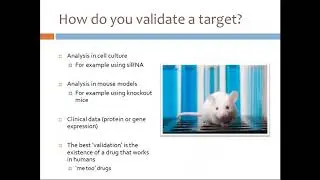 Introduction to Drug Discovery