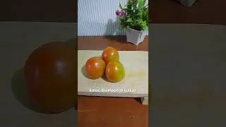 Jangan Simpan Tomat di Kulkas! Ini Alasannya 🍅❌