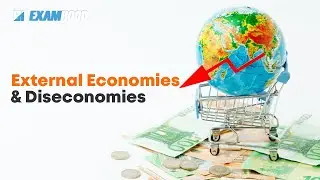 External Economies & Diseconomies