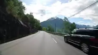 Attribut g&aelig;tte stor opf&oslash;rsel 1001614