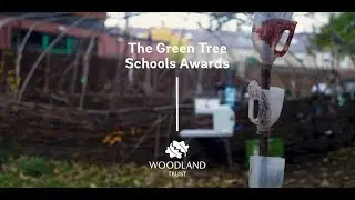 Celebrating 10 years of the Green Tree Schools Award